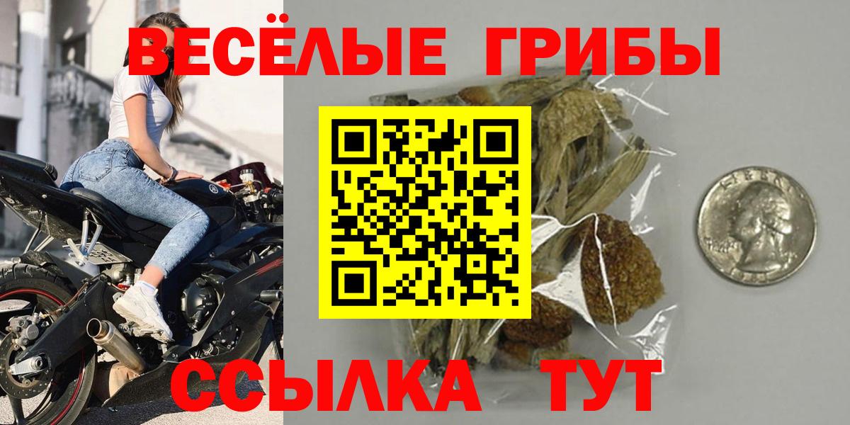 Галлюциногенные грибы мицелий Обнинск