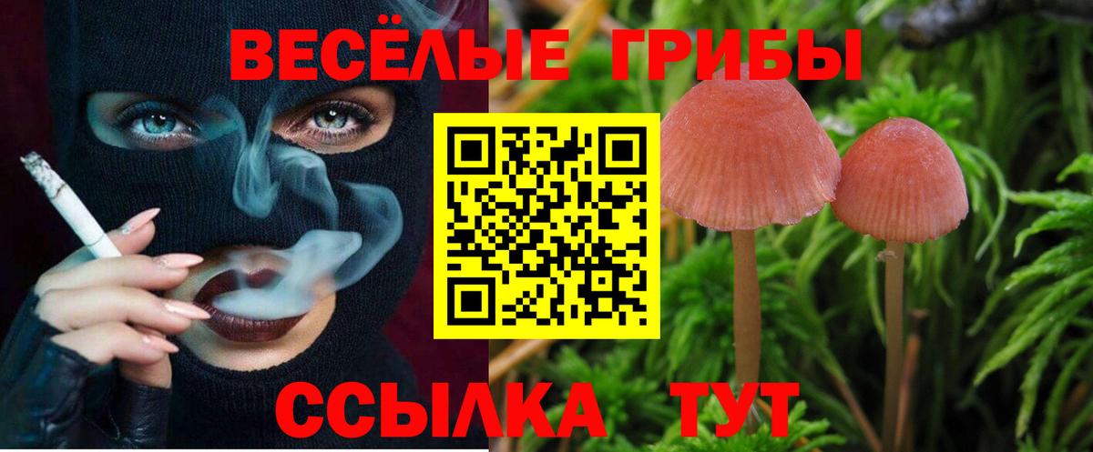 Псилоцибиновые грибы мухоморы  Вход с VPN  Обнинск 